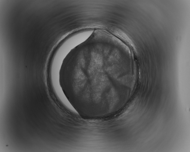 X0000094900436200712271455