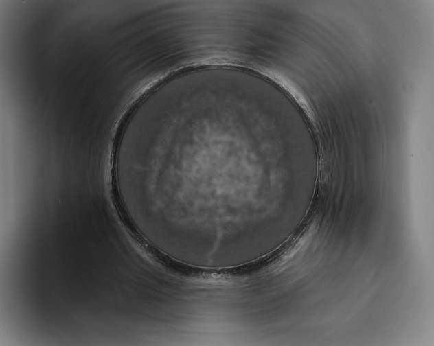 X0000094900437200712271455