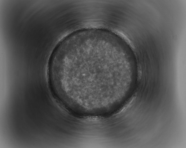 X0000094900439200712271455