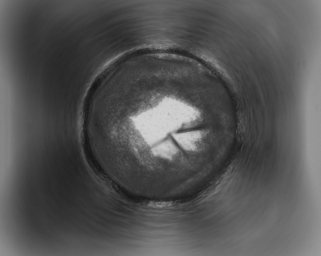 X0000094900440200712271455