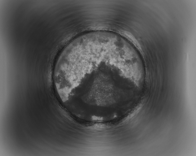 X0000094900441200712271455