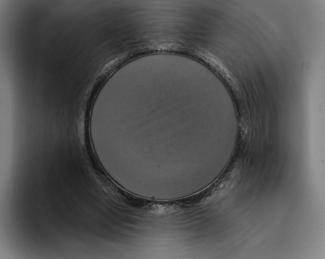 X0000094900442200712271455