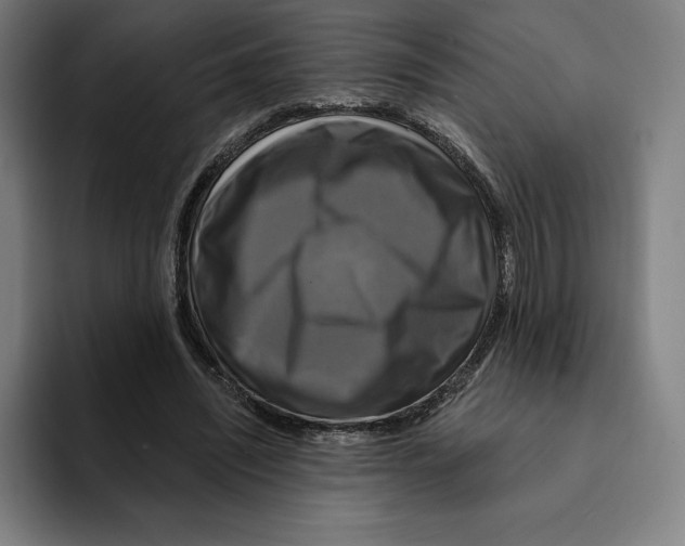 X0000094900444200712271455