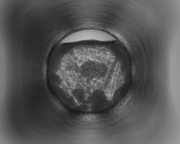X0000094900445200712271455