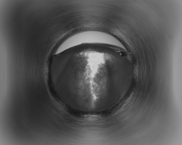 X0000094900448200712271455