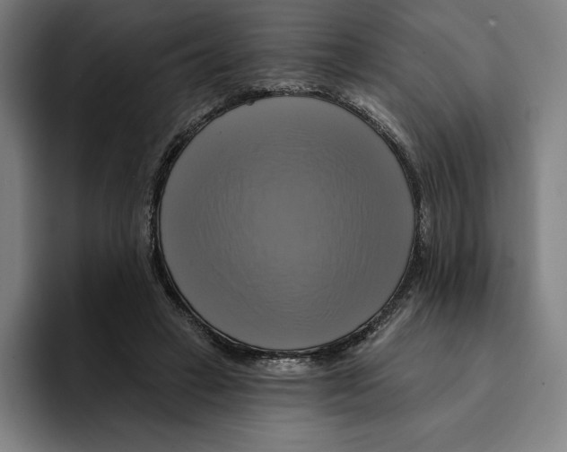 X0000094900449200712271455