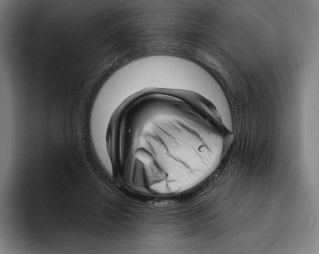 X0000094900452200712271455