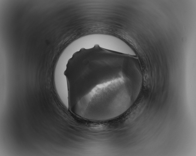 X0000094900454200712271456