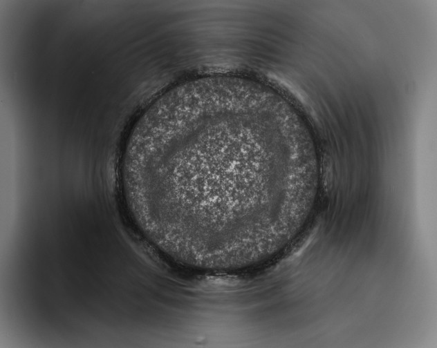 X0000094900455200712271456