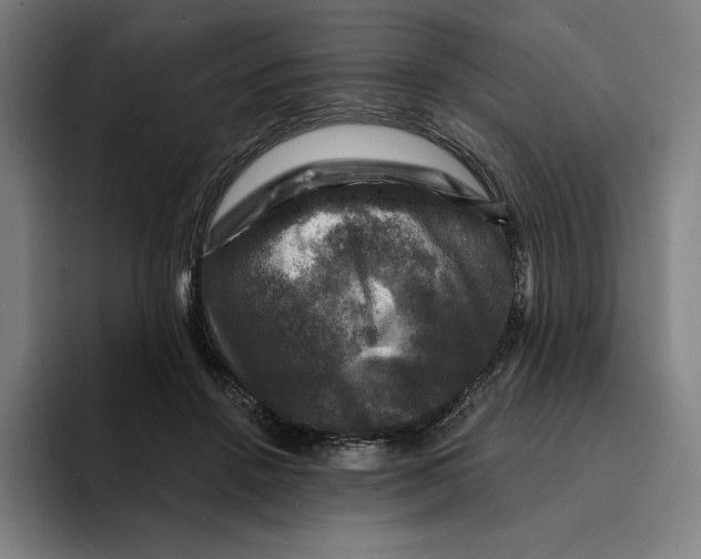 X0000094900456200712271456