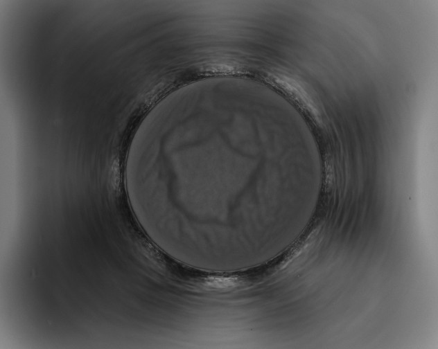 X0000094900457200712271456