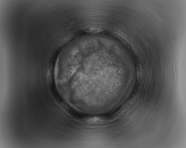 X0000094900460200712271456