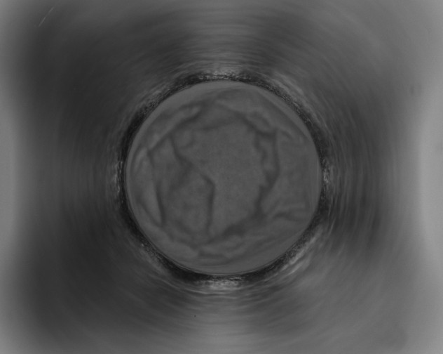 X0000094900462200712271456