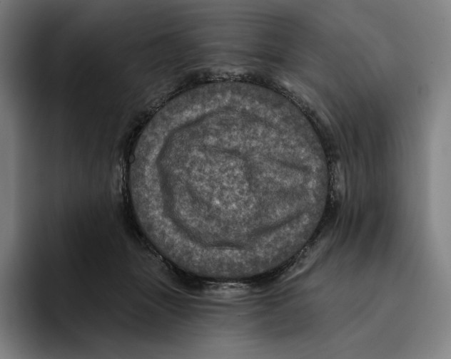 X0000094900463200712271456
