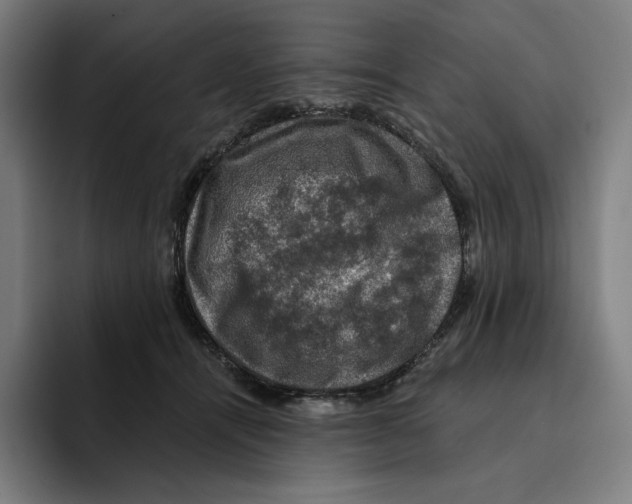 X0000094900464200712271456
