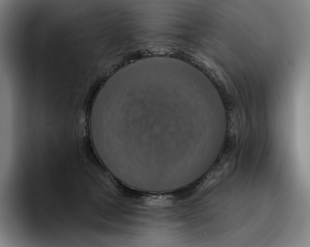 X0000094900465200712271456