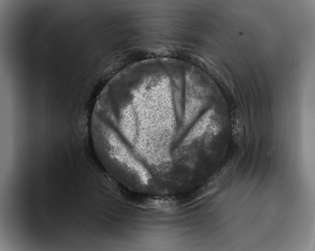 X0000094900466200712271456