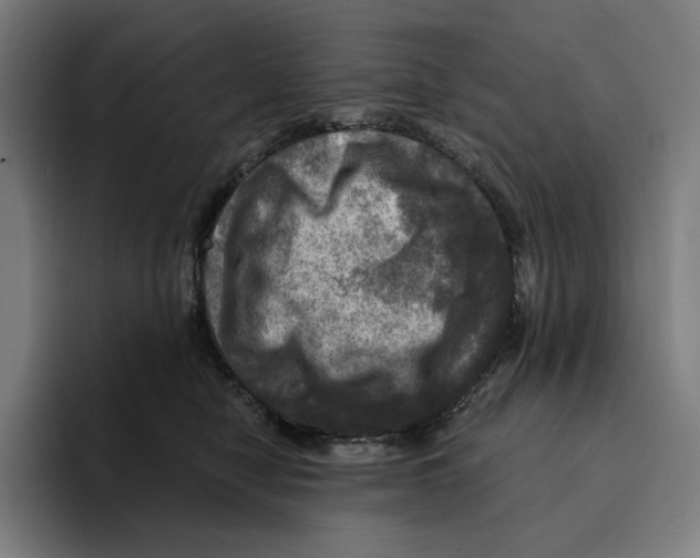 X0000094900470200712271456
