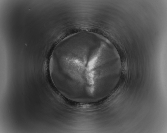 X0000094900472200712271456