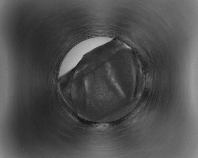 X0000094900474200712271456