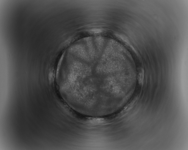 X0000094900476200712271456