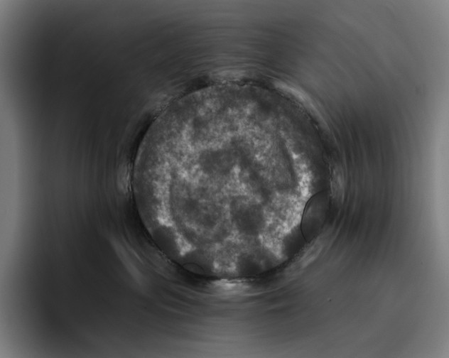X0000094900477200712271456