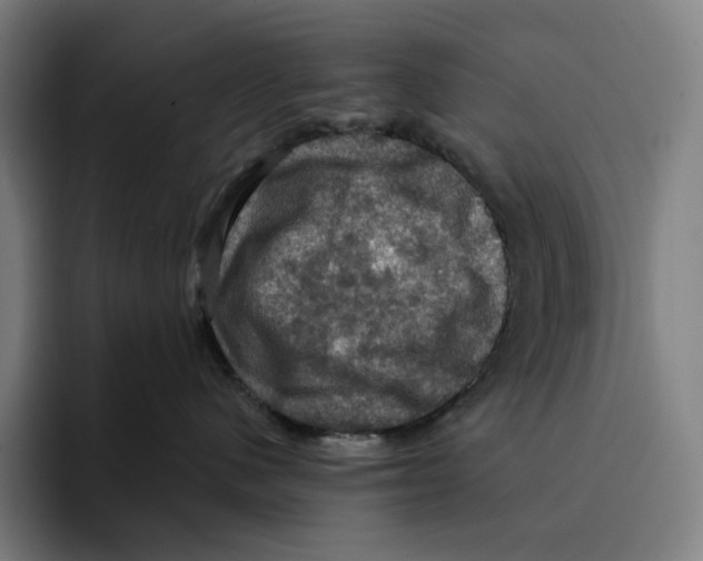 X0000094900480200712271456