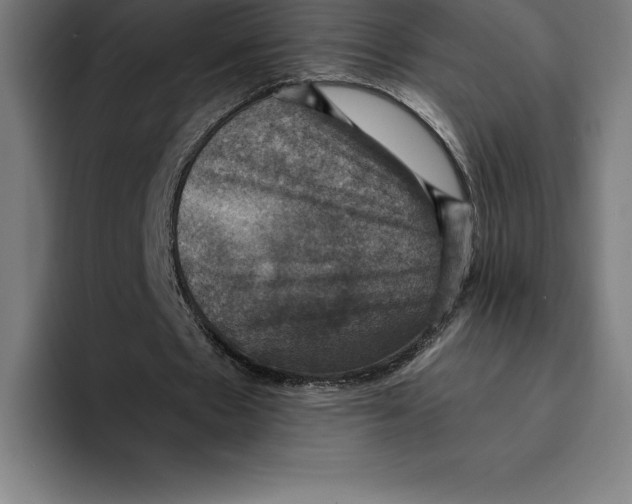 X0000094900481200712271455