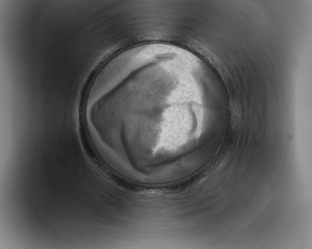 X0000094900482200712271455
