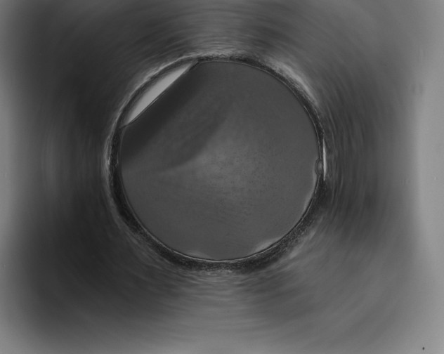 X0000094900483200712271455