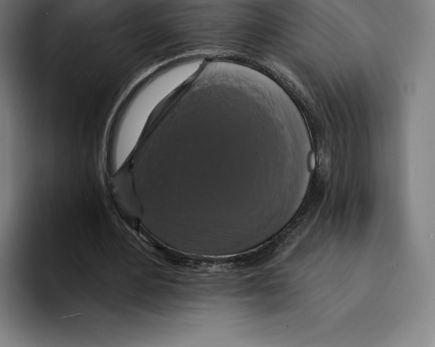 X0000094900484200712271455