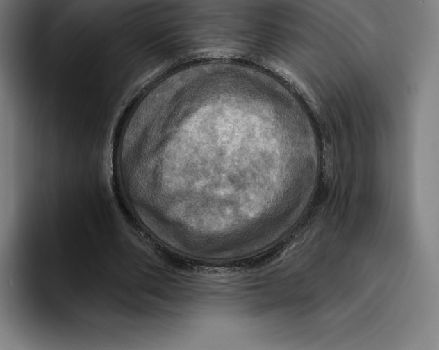 X0000094900486200712271455