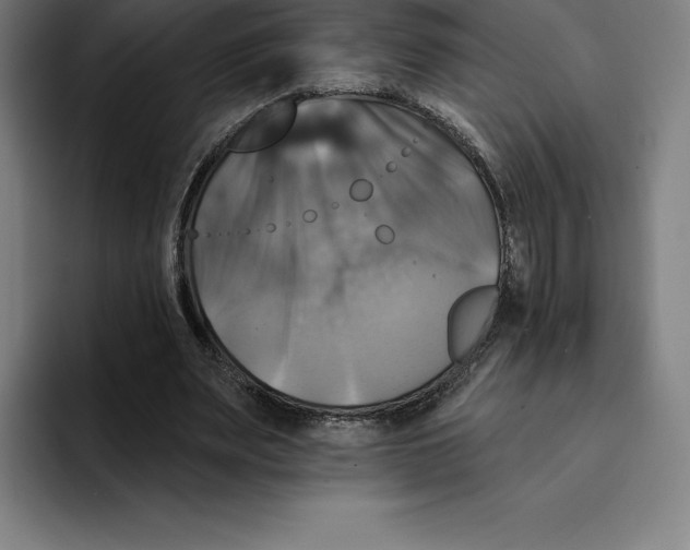 X0000094900487200712271455