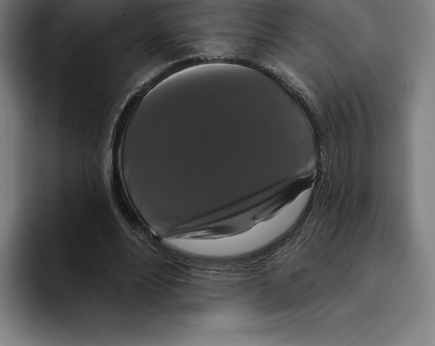 X0000094900488200712271455