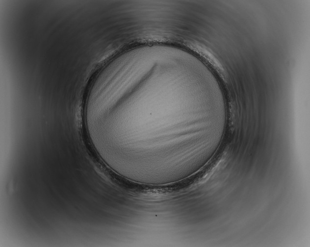 X0000094900489200712271455