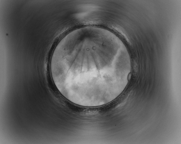 X0000094900491200712271455
