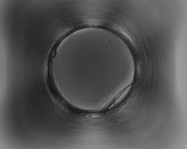 X0000094900492200712271455