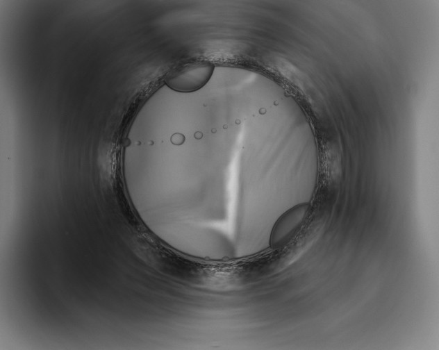 X0000094900495200712271455