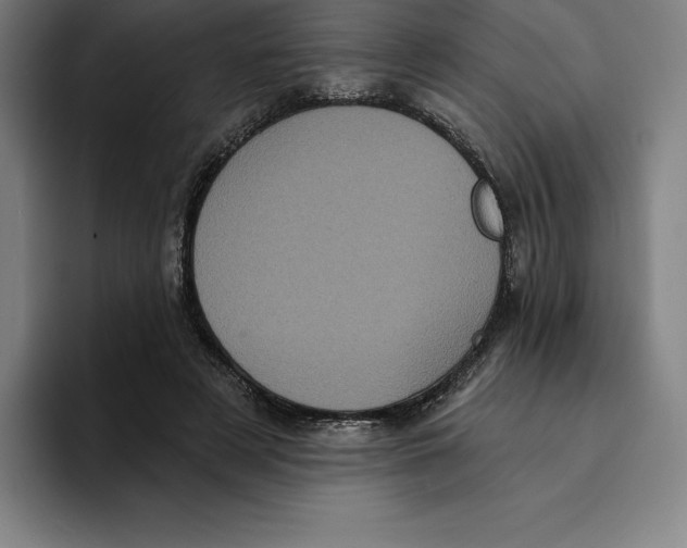 X0000094900497200712271455
