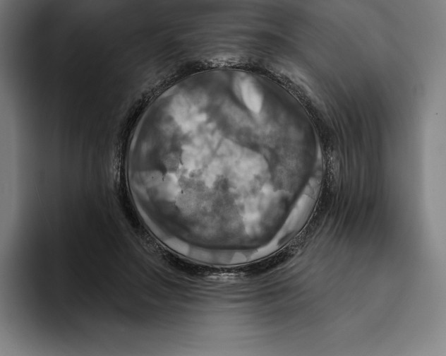 X0000094900499200712271455