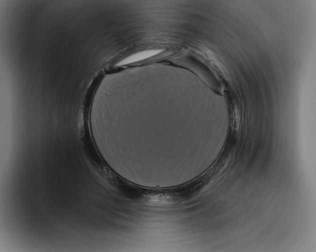 X0000094900500200712271455