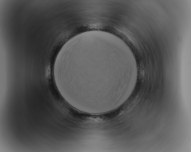 X0000094900502200712271455
