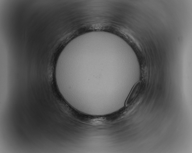 X0000094900505200712271455