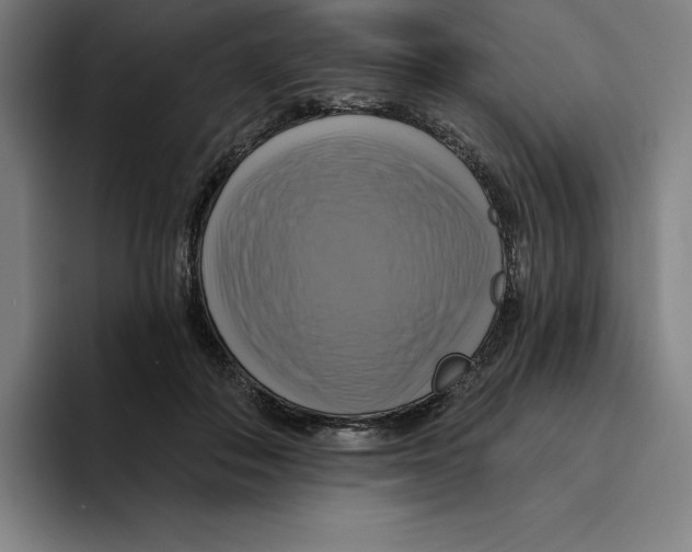 X0000094900506200712271455