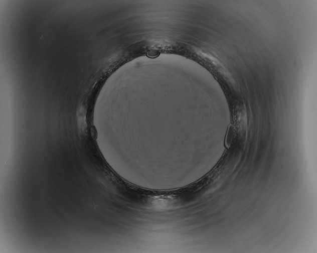 X0000094900508200712271455