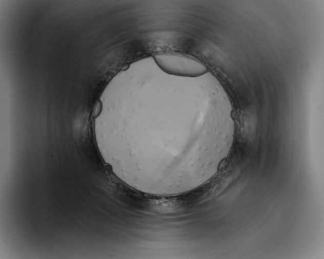 X0000094900511200712271455