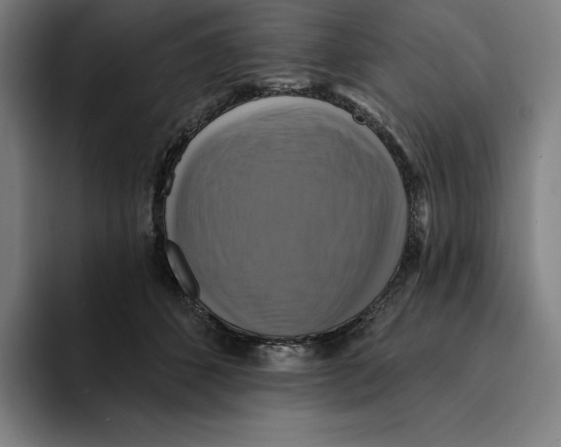 X0000094900512200712271455