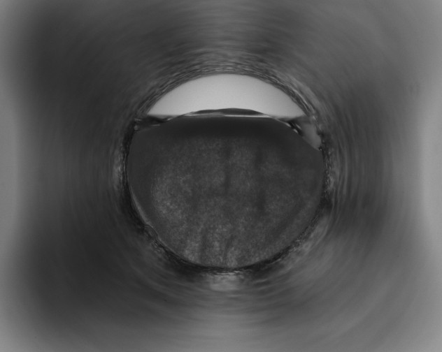 X0000094900513200712271455