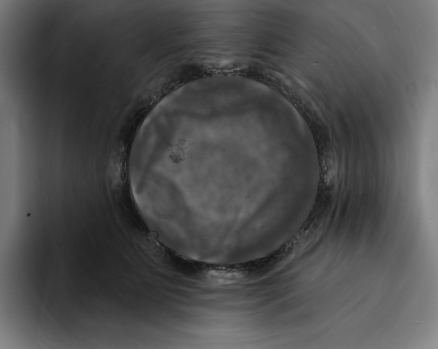X0000094900515200712271455