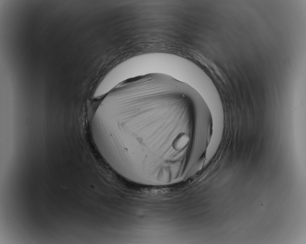 X0000094900517200712271455